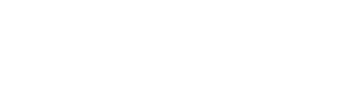 Финансовый директор 2020